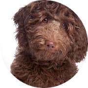 Pensione Il Rifugio di Fido